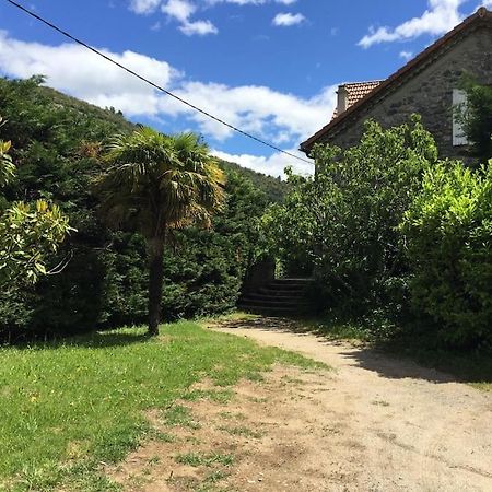 Grande Maison Familiale En Pierres Sud Ardeche Lalevade-d'Ardeche ภายนอก รูปภาพ